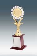 award_img4