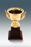 award_img5